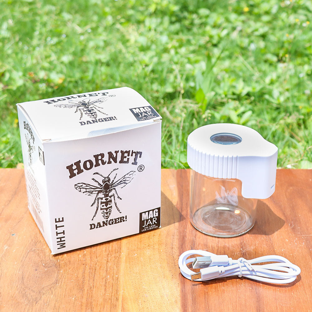 HORNET Light-Up Led Glass Storage Jar, Air Tight & Magnifying View Jar, White Color Jar Lid, Rechargeable Glass Jar